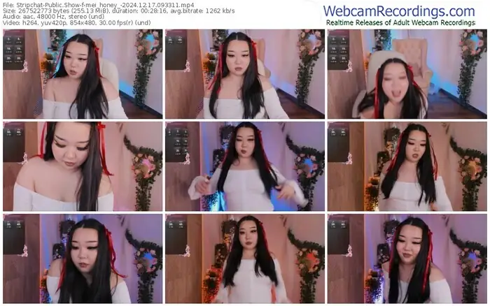 stripchat-mei_honey_-12-17-2024-09-33-11