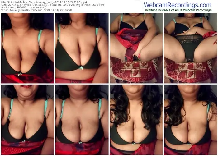 stripchat-sassy_horny-12-17-2024-20-21-28