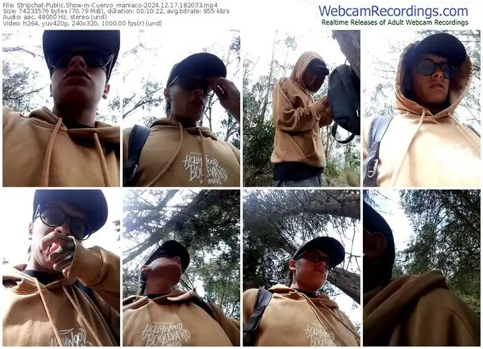 stripchat-cuervo_maniaco-12-17-2024-18-20-33