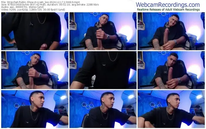 stripchat-liam_lee-12-17-2024-13-44-19
