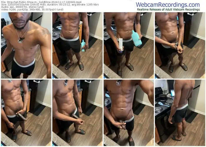 stripchat-_goldmine-12-17-2024-16-09-49