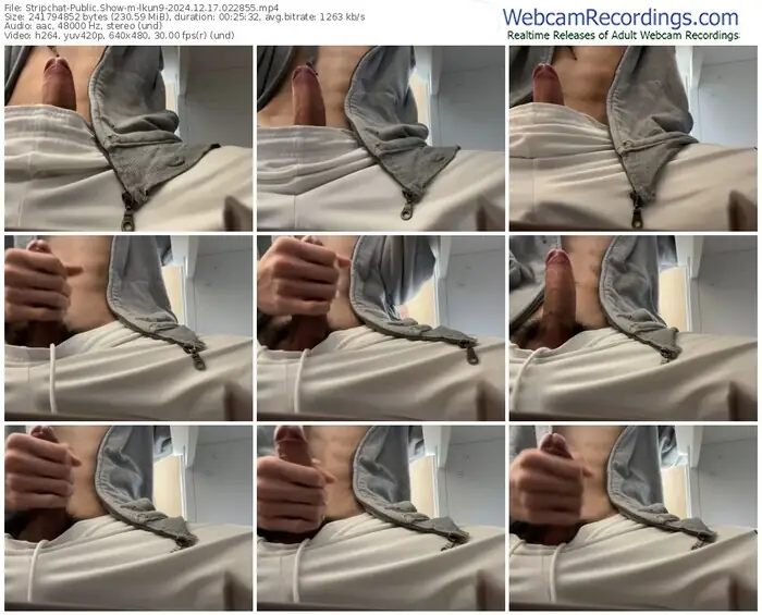 stripchat-lkun9-12-17-2024-02-28-55