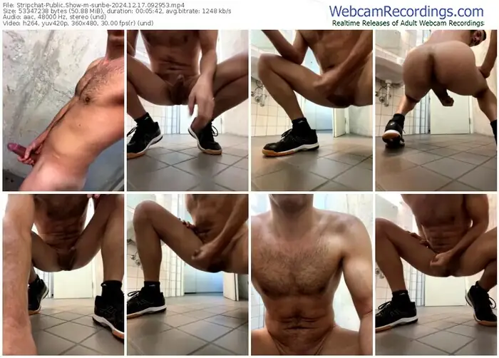 stripchat-sunbe-12-17-2024-09-29-53