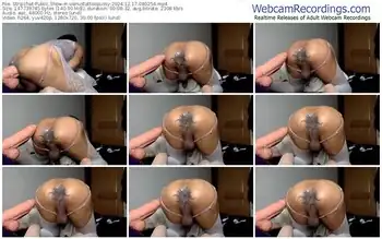 stripchat-venustattoopussy-12-17-2024-08-02-54