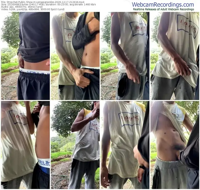 stripchat-vergasgrandes-12-17-2024-21-24-34