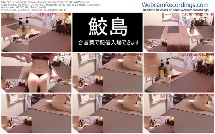 stripchat-hanabi-hentai-12-18-2024-14-40-57