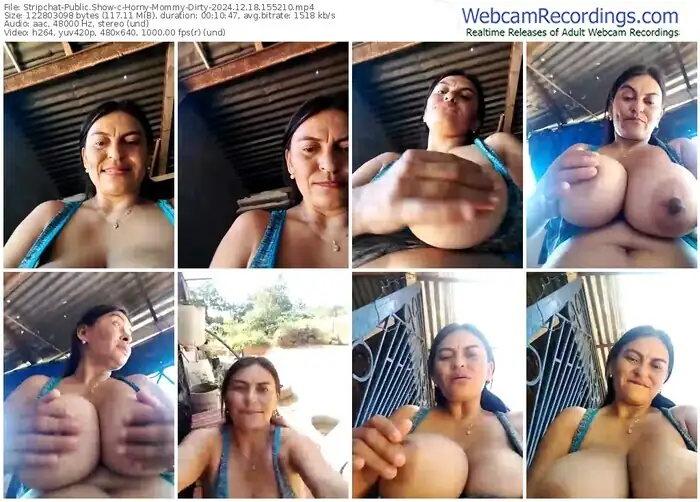 stripchat-horny-mommy-dirty-12-18-2024-15-52-10