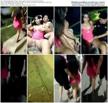 stripchat-pink_jazmin-12-18-2024-04-11-30