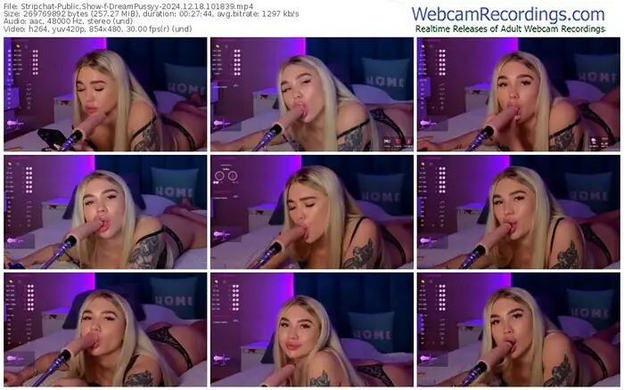 stripchat-dreampussyy-12-18-2024-10-18-39