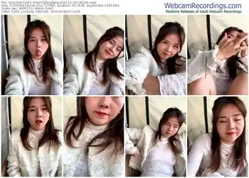 stripchat-efangfang-12-18-2024-04-01-00