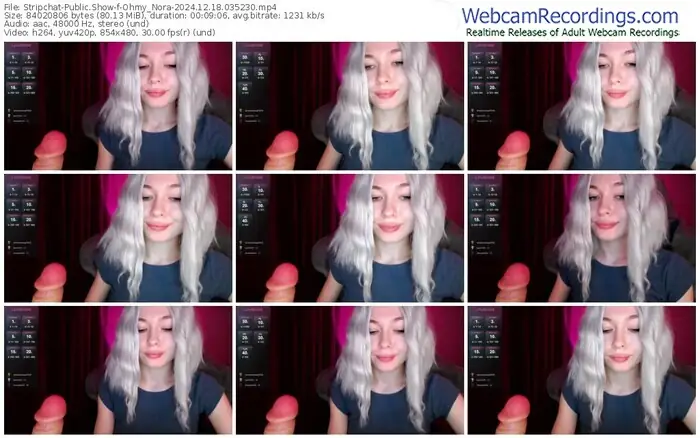 stripchat-ohmy_nora-12-18-2024-03-52-30
