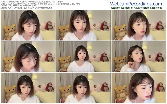 stripchat-onekitty-12-18-2024-16-47-41