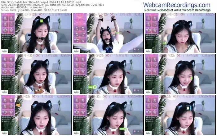 stripchat-sheep-1-12-18-2024-14-00-51