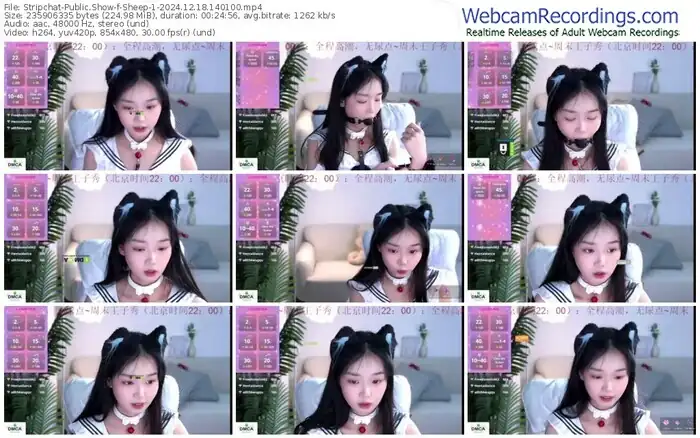 stripchat-sheep-1-12-18-2024-14-01-00