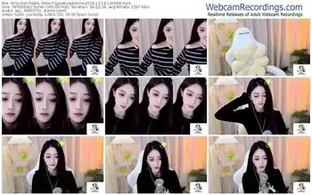 stripchat-speakingairline-12-18-2024-16-09-58