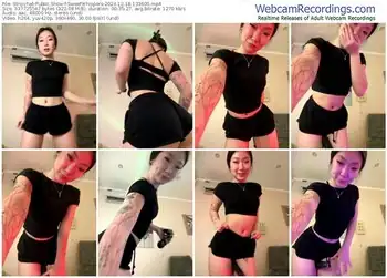 stripchat-sweetwhispers-12-18-2024-13-36-00