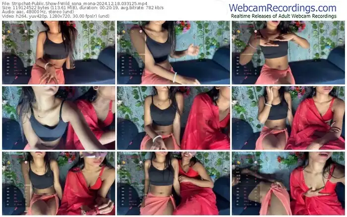stripchat-wild_sona_mona-12-18-2024-03-31-25