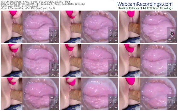 stripchat-danigirl866-12-18-2024-17-37-34