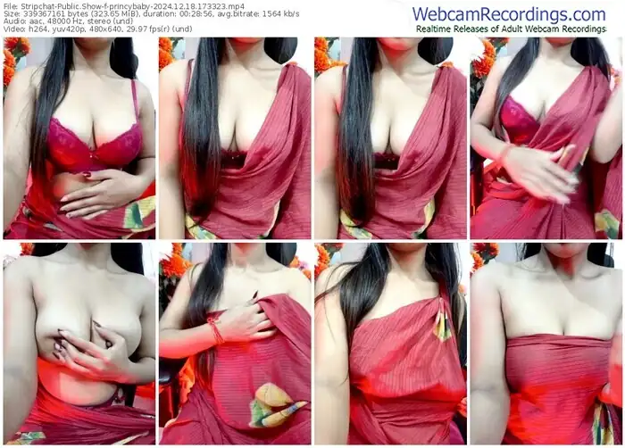 stripchat-princybaby-12-18-2024-17-33-23