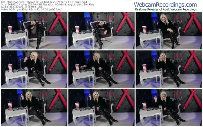 stripchat-raluca_badulescu-12-18-2024-01-36-46