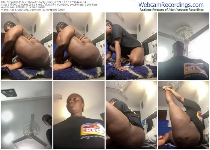 stripchat-t-booty_risky_-12-18-2024-20-39-44