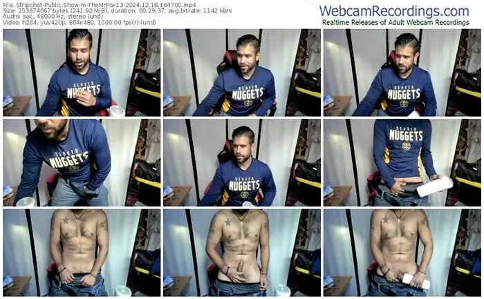stripchat-themrfox13-12-18-2024-16-47-00