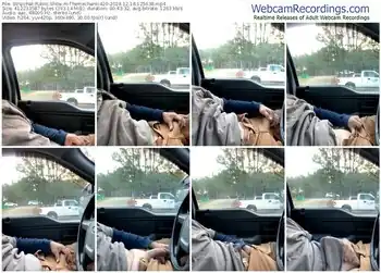 stripchat-themechanic420-12-18-2024-12-56-38