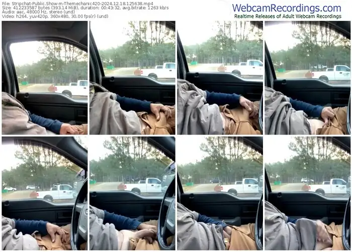 stripchat-themechanic420-12-18-2024-12-56-38