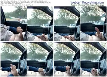 stripchat-themechanic420-12-18-2024-13-42-51