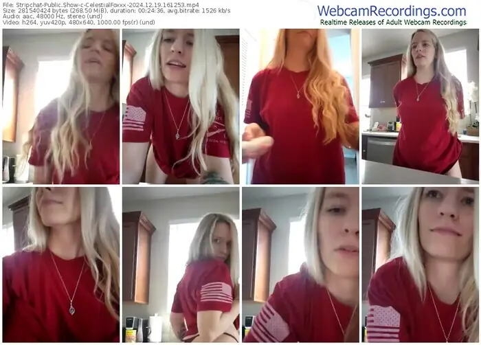 stripchat-celestialfoxxx-12-19-2024-16-12-53