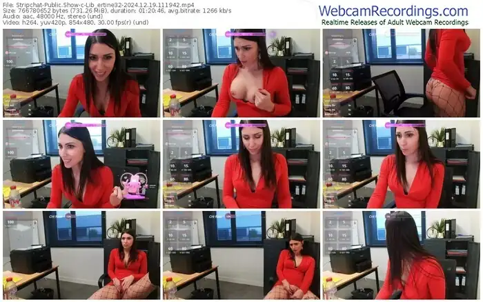 stripchat-lib_ertine32-12-19-2024-11-19-42