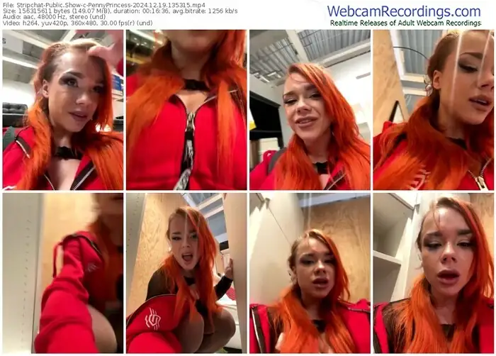 stripchat-pennyprincess-12-19-2024-13-53-15