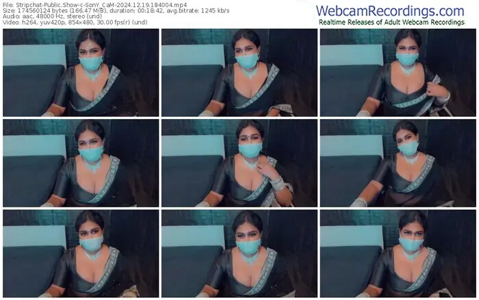 stripchat-sony_cam-12-19-2024-18-40-04