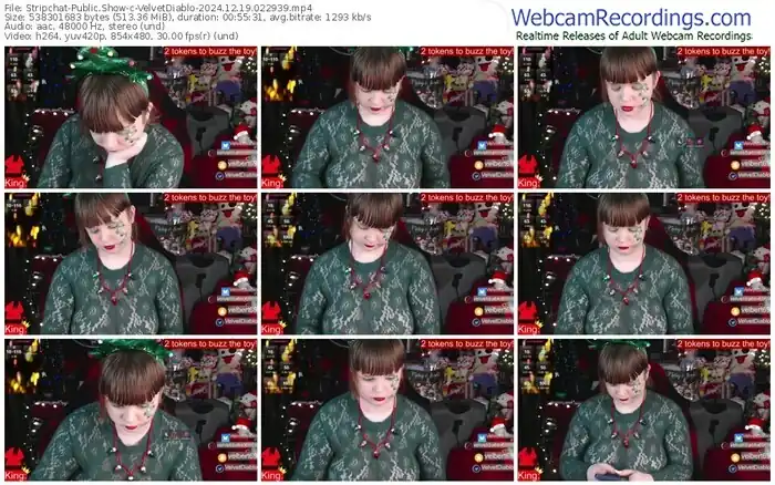 stripchat-velvetdiablo-12-19-2024-02-29-39