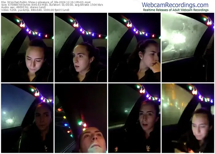 stripchat-pleasure_of_life-12-19-2024-19-54-21