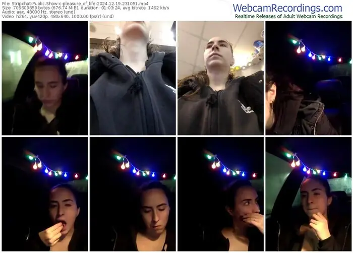 stripchat-pleasure_of_life-12-19-2024-23-10-51