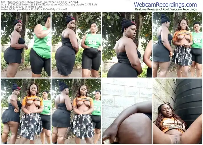 stripchat-broan_me-12-19-2024-09-31-47