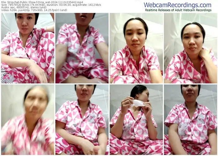 stripchat-dina_wet-12-19-2024-03-54-42