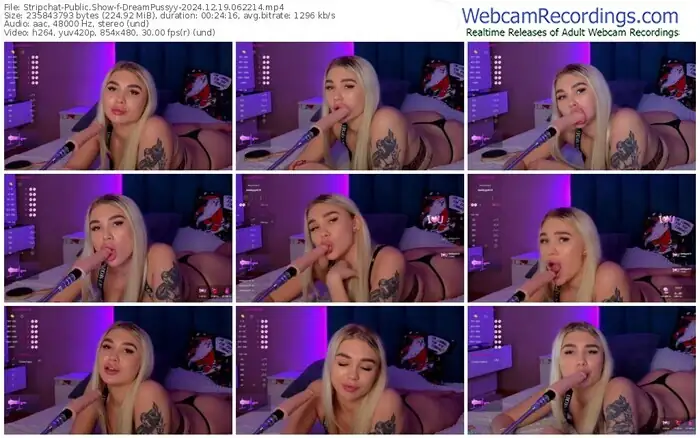 stripchat-dreampussyy-12-19-2024-06-22-14