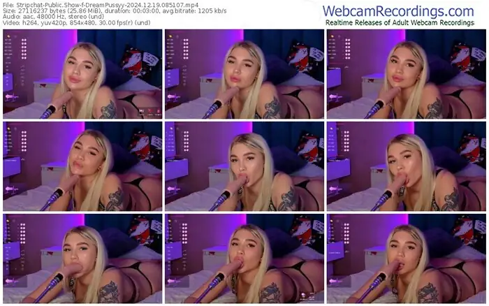 stripchat-dreampussyy-12-19-2024-08-51-07