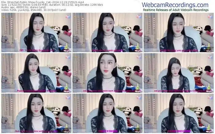 stripchat-lucky_cat--12-19-2024-15-55-21