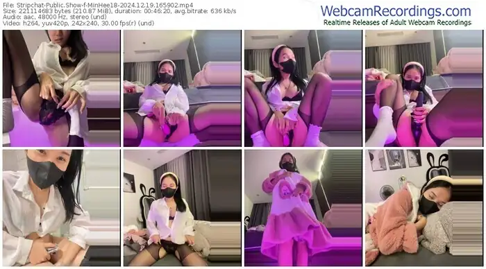 stripchat-minhee18-12-19-2024-16-59-02