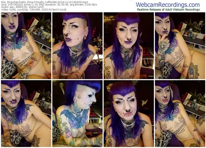 stripchat-purple_coffin666-12-19-2024-18-16-04