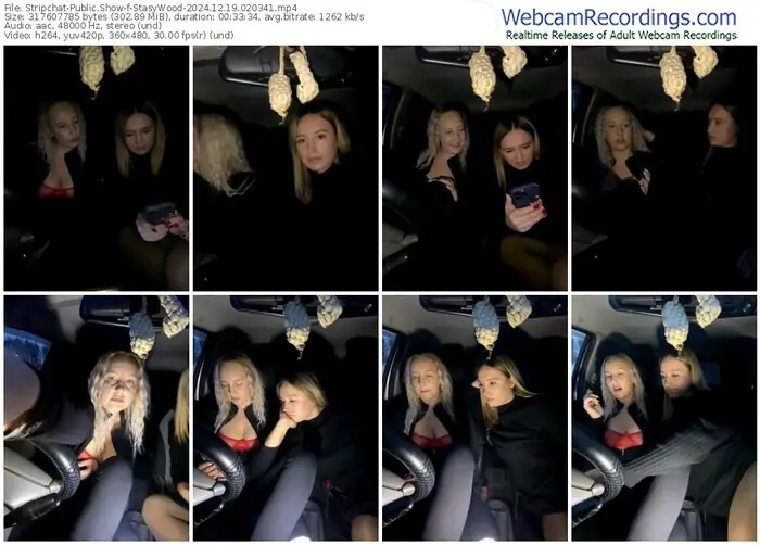 stripchat-stasywood-12-19-2024-02-03-41