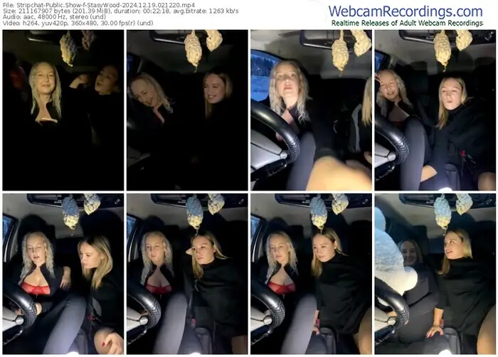 stripchat-stasywood-12-19-2024-02-12-20