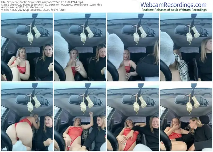 stripchat-stasywood-12-19-2024-02-47-44