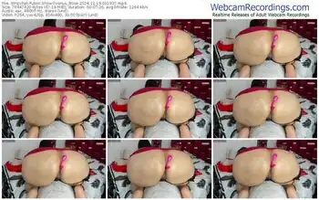 stripchat-venus_r0se-12-19-2024-01-19-37