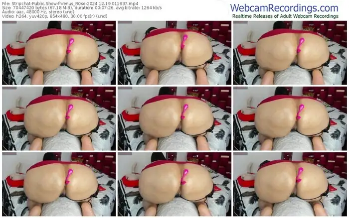 stripchat-venus_r0se-12-19-2024-01-19-37