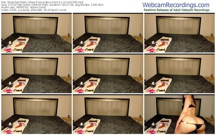 stripchat-misscatxo-12-19-2024-01-07-08