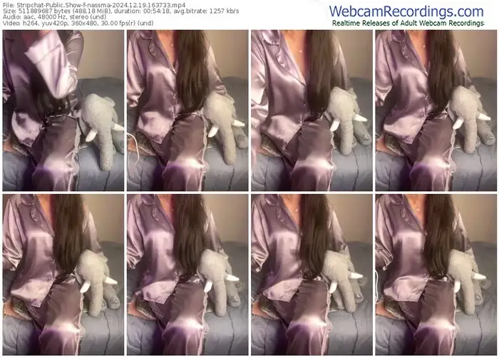 stripchat-nassma-12-19-2024-16-37-33